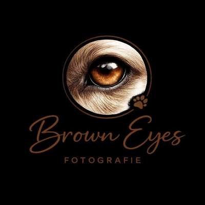 Tierfotografen-Brown Eyes Fotografie-Bild