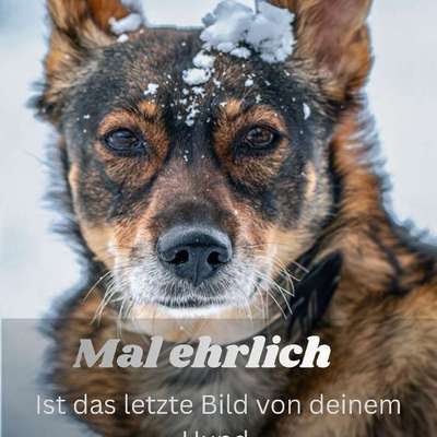 %{de_profession_title}-Salzgitter und Umgebung-Bild