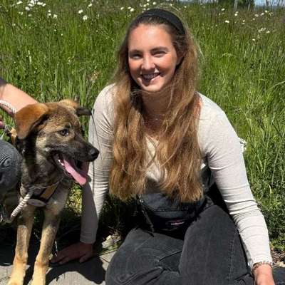 Hundetreffen-Junghunde Treffen Quatschen, Üben und spielen
