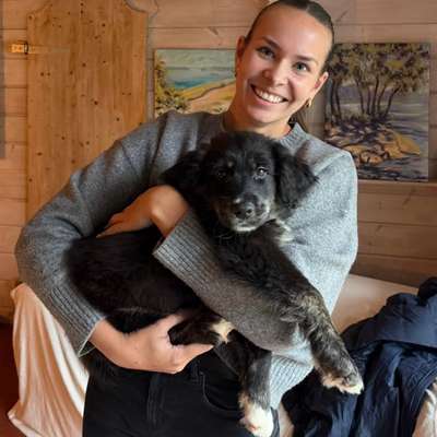 Hundetreffen-Hundekontakte für Welpen Lokstedt-Bild