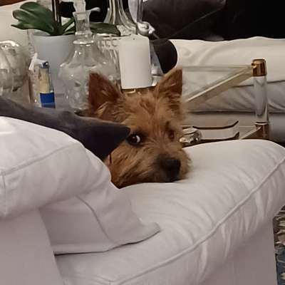 143. Fotochallenge: Ja, wo isser denn?-Beitrag-Bild