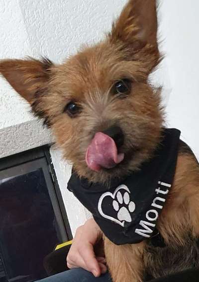 Dogorama Photo Challenge - Details Ganz nah-Beitrag-Bild