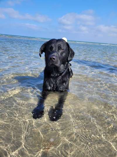 Urlaub an der Ostsee-Beitrag-Bild