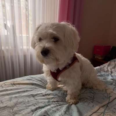 Reinhold's Profilbild