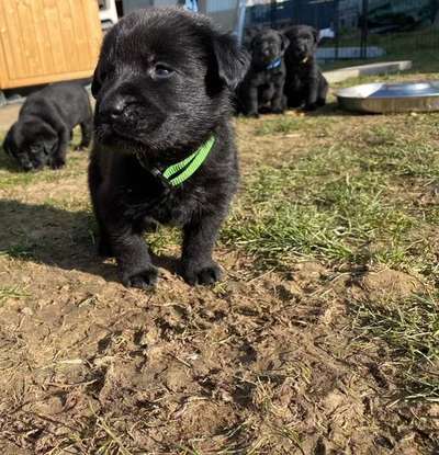 Tipps für die ersten Wochen-Beitrag-Bild