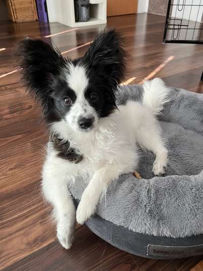 Ist das ein...?-Beitrag-Bild