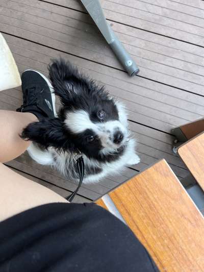 Handy-Foto Challange Nr. 10-Beitrag-Bild