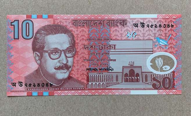 Wie heißt dein Hund?-Beitrag-Bild