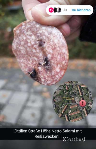 Giftköder-Salami mit Reißzwecken-Bild