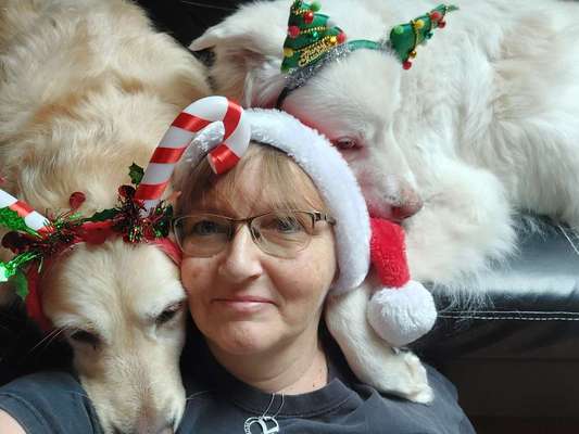 11. Farben Foto Challenge Rot-Beitrag-Bild