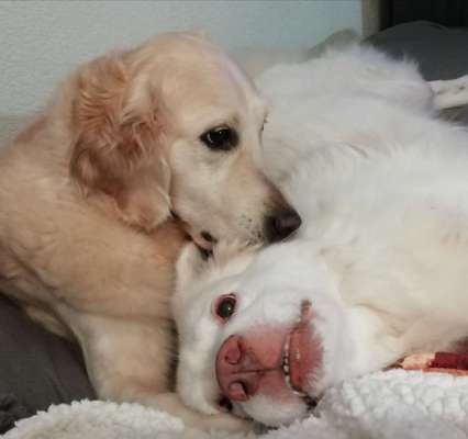 Fotochallenge liebespaare-Beitrag-Bild