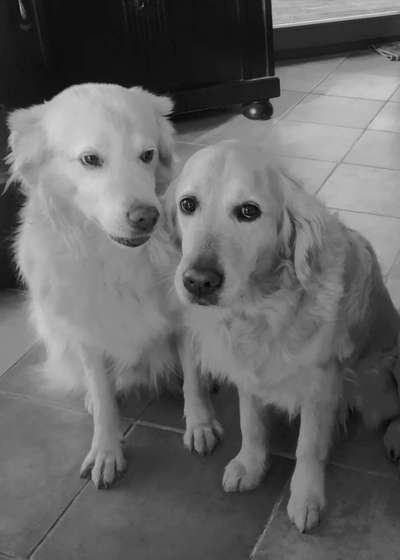 Foto-Challenge 76: Foto in Schwarz-Weiss-Beitrag-Bild