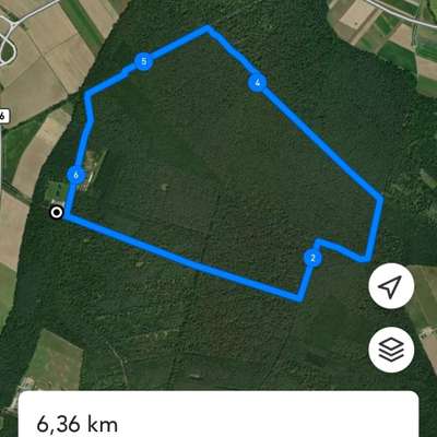 Hundetreffen-Hunde-Runde 🐩-Bild