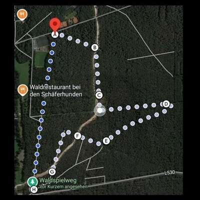 Hundetreffen-Hunde-Runde-Bild