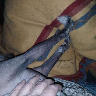 Stracke/steife Ärmchen beim Schmusen-Beitrag-Bild