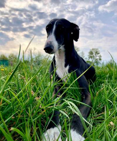 Farben Fotochallenge Thema ,,Grün"-Beitrag-Bild