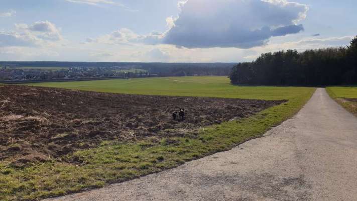 Hundeauslaufgebiet-Oseberg-Bild