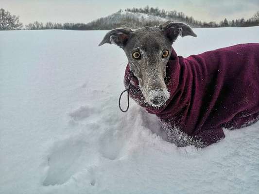 Der erste Schnee, zeigt uns eure tollen Schneemomente-Beitrag-Bild