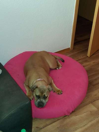 Erfahrung mit Wolkenbett-Beitrag-Bild