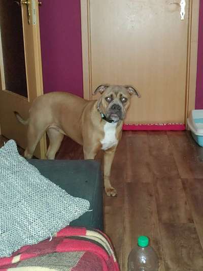 OEB Besitzer gesucht 😊-Beitrag-Bild