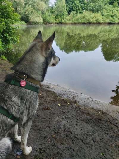 Ratespaß geht weiter-Beitrag-Bild