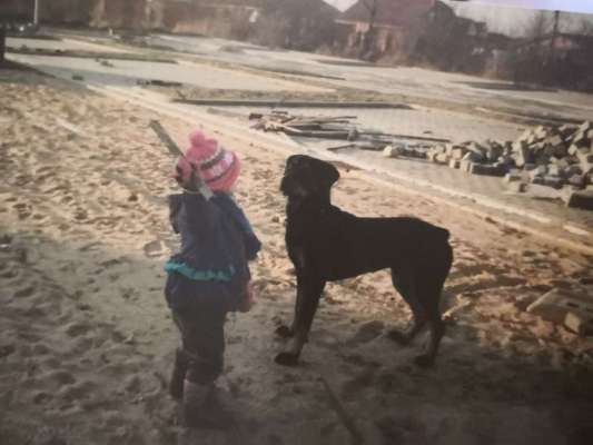 Kinder und Hunde-Beitrag-Bild