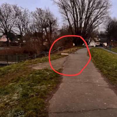 Giftköder-Vermutlich Wolfsichtung heute früh-Bild