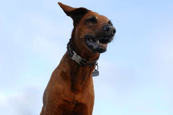 Fotochallenge Nr 50 Vom Winde verweht-Beitrag-Bild