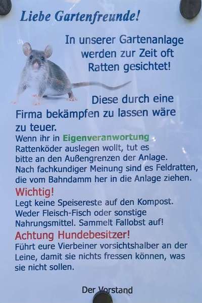 Giftköder-Rattengiftköder, großraum Rostock-Bild