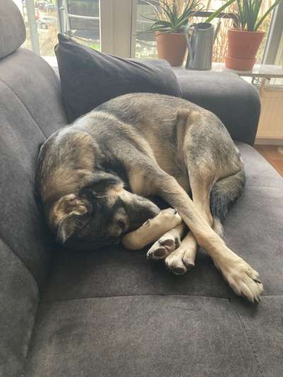 Fotochallange - Eingekugelt-Beitrag-Bild