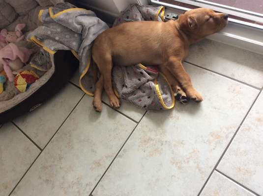 CHALLENGE NR. 34 - Liege-/Schlafpositionen-Beitrag-Bild