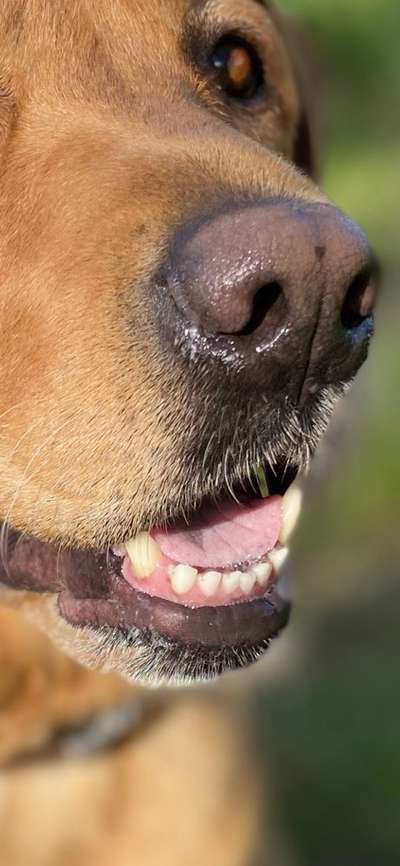 Blick fürs Detail!-Beitrag-Bild