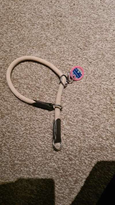 Eurasier hier?-Beitrag-Bild