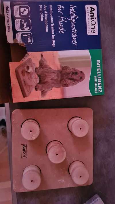 Eurasier hier?-Beitrag-Bild