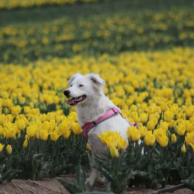 Fotowettbewerb Natur-Beitrag-Bild