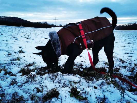 Challenge Nr. 15
Spiel im Schnee-Beitrag-Bild