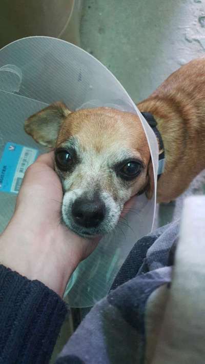 Die graue Eminenz-Beitrag-Bild