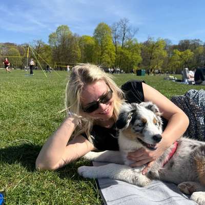 Hundetreffen-Junghundetreff 🐾-Bild