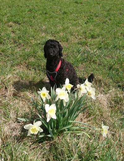 Fotochallenge No. 26                                     Wald und Wiese-Beitrag-Bild