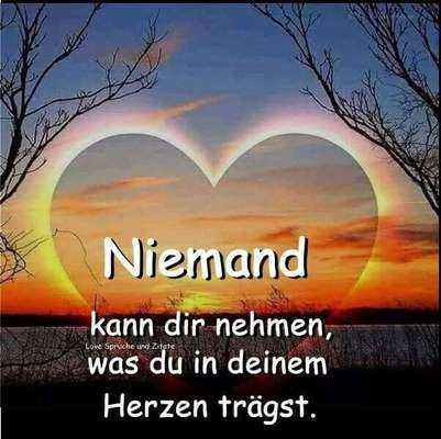 Alles rund um den Pudel-Beitrag-Bild