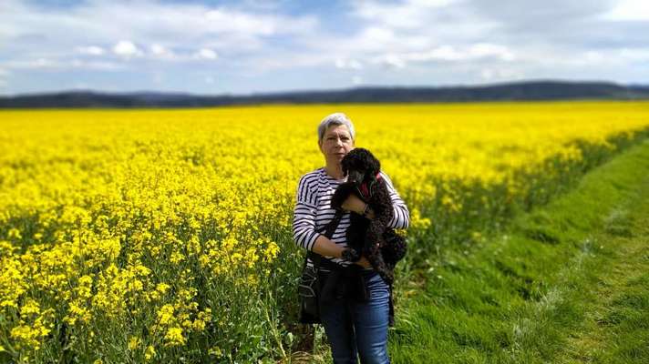 Challenge 33 - Du und dein Hund-Beitrag-Bild