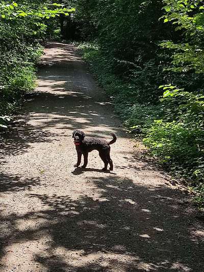 Theos  Fotochallenge Nummer 2-Beitrag-Bild