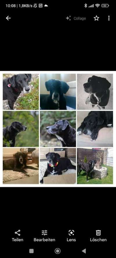 Doppelgänger gesucht !-Beitrag-Bild