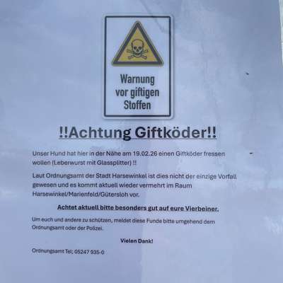 Giftköder-Giftköder-Bild