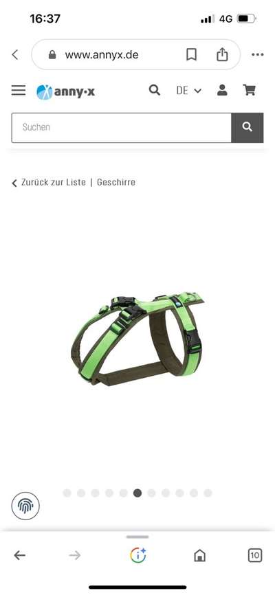 Samojede-Beitrag-Bild