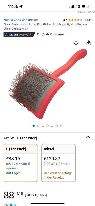 Samojede-Beitrag-Bild