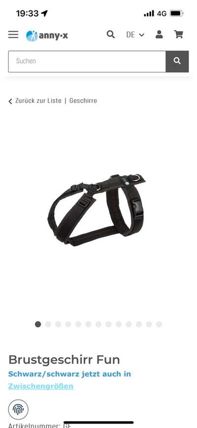 Samojede-Beitrag-Bild