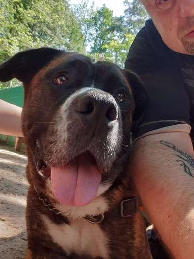 Erstes Bild-Beitrag-Bild