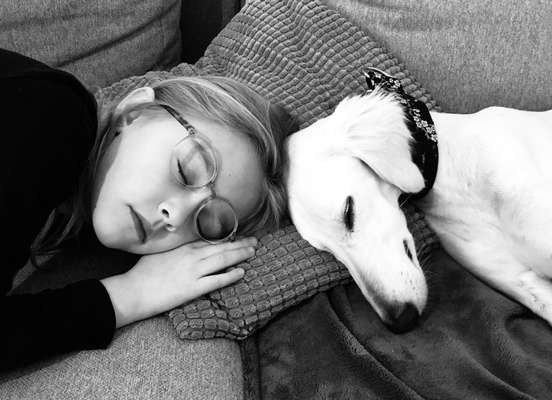 Lieblingsbild-Beitrag-Bild