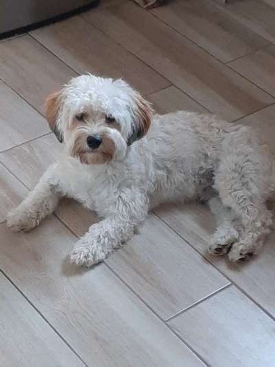 Doppelgänger gesucht !-Beitrag-Bild